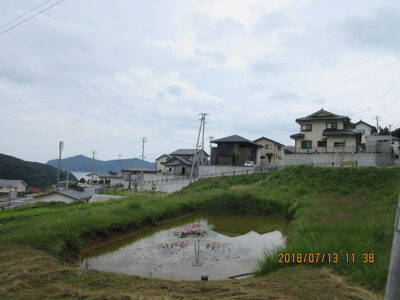 崎浜