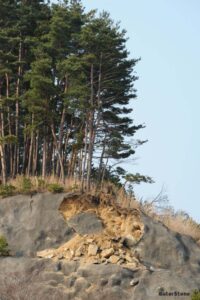 体育館横のがけ崩れ 3月30日